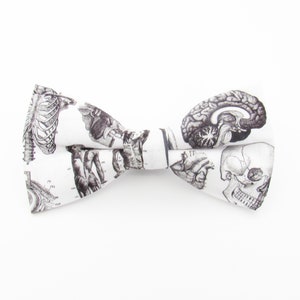 May include: White bow tie with a black and white anatomical illustration print featuring a skull, brain, heart, and skeleton.