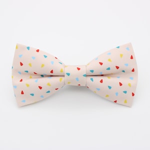 Tutti Frutti Patterned Bowtie & Faux Pocket Square - Colourful Confetti Design Bowties | Fun Speckled Bowtie  | Pride Bowties | Bright