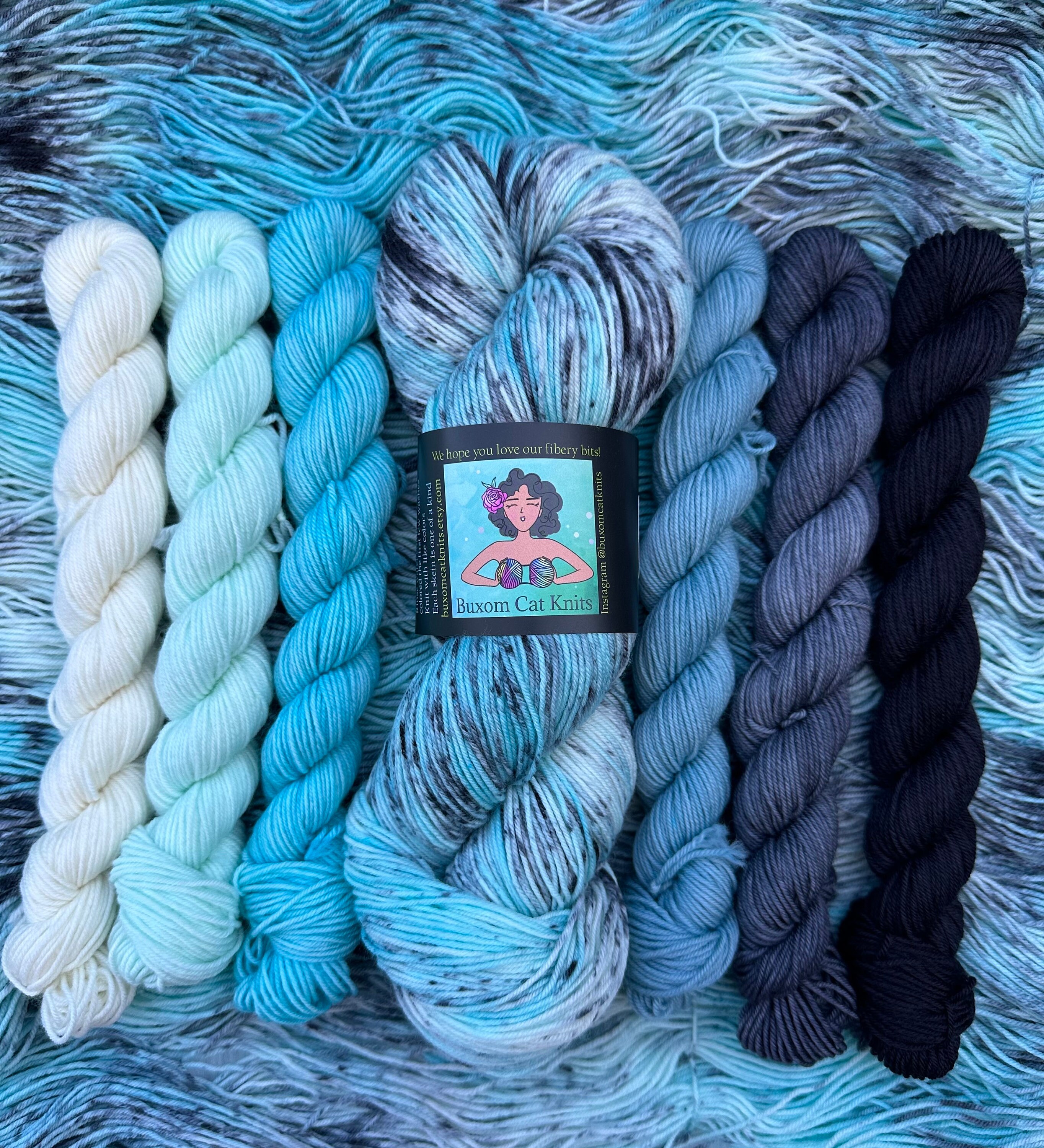 Beware of Hitchhiking Ghosts Sock and Mini Skeins Set Hand Dyed Yarn
