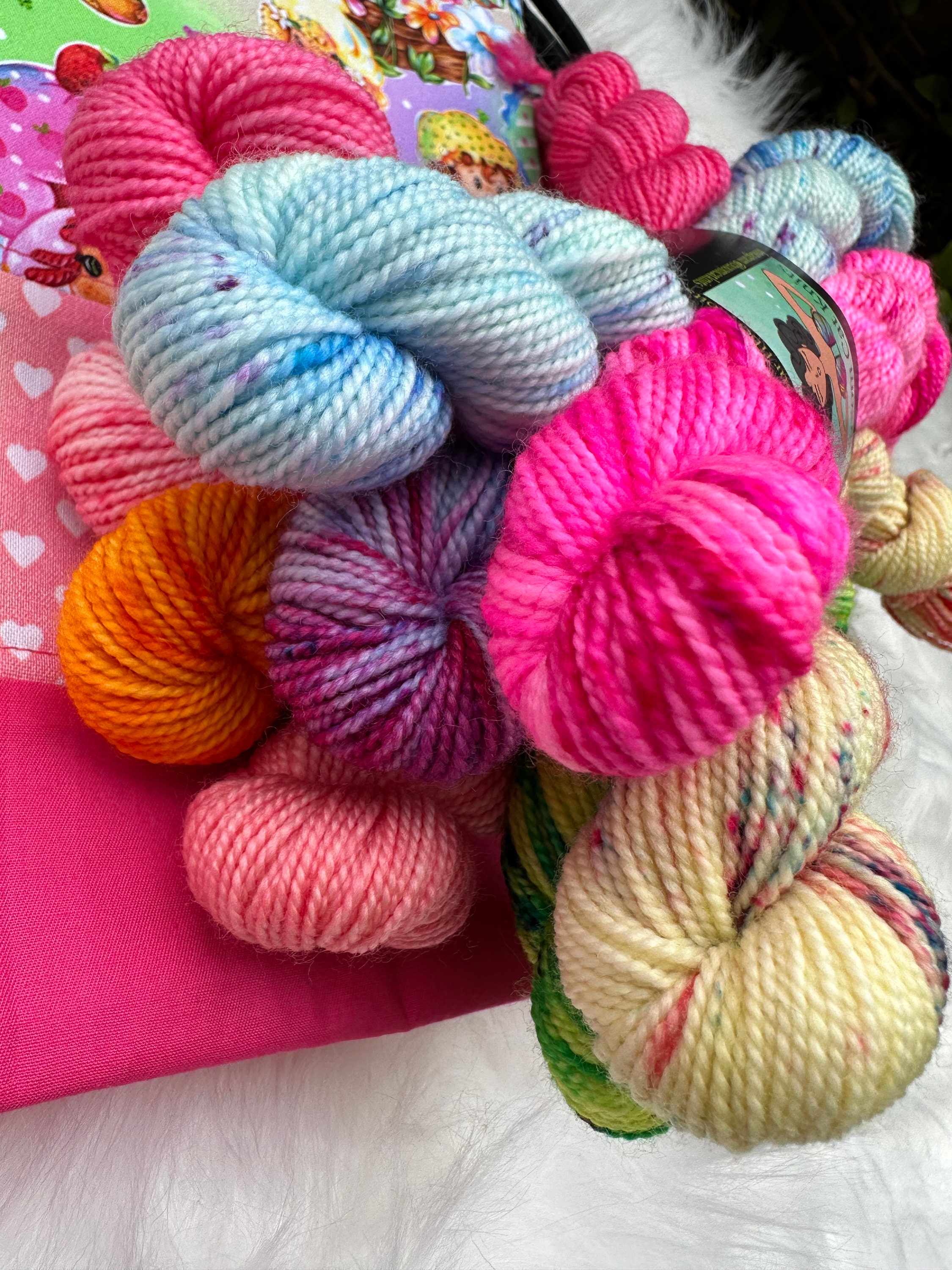 Strawberry Shortcake and Friends Mini Skein Yarn Gift Bundle