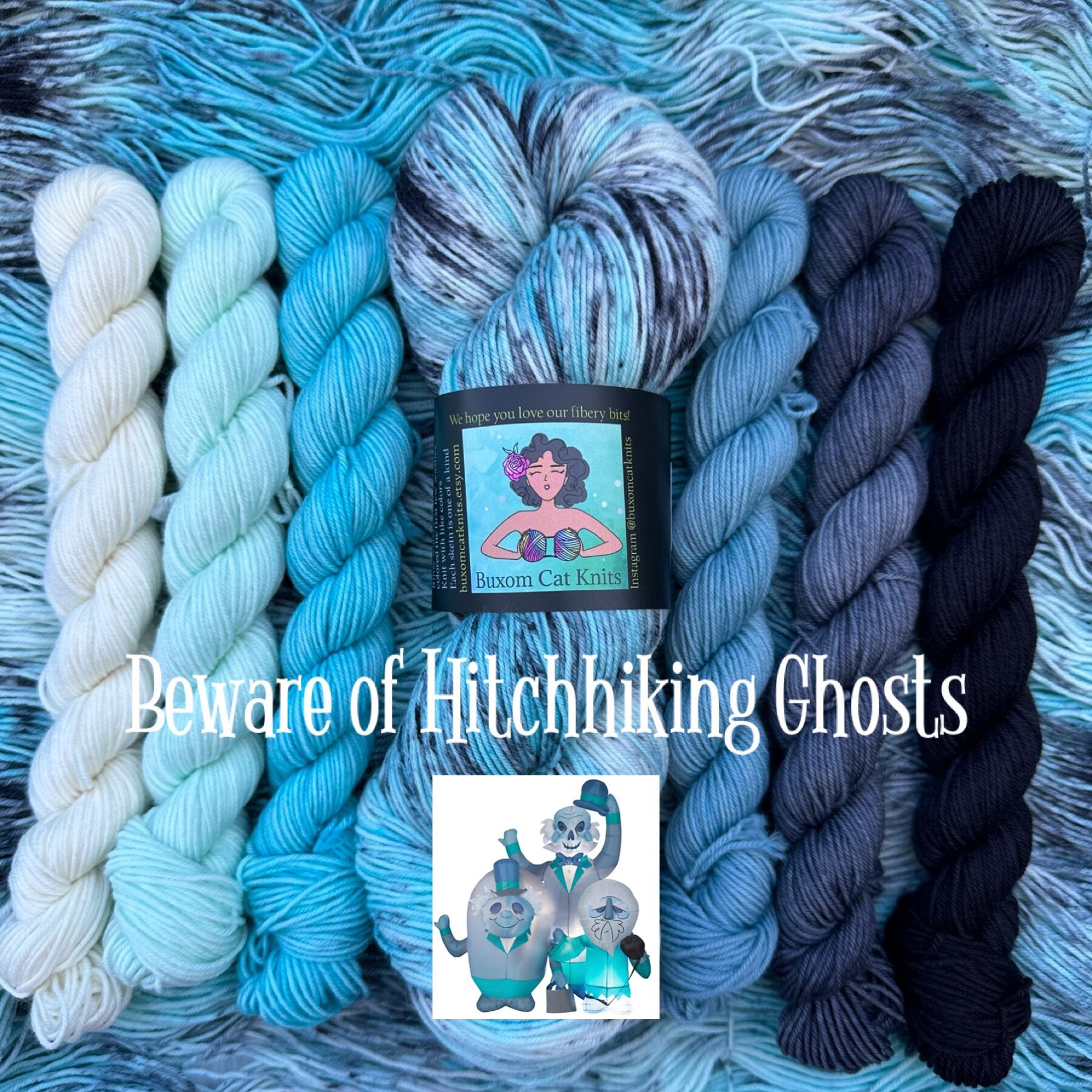 Beware of Hitchhiking Ghosts Sock and Mini Skeins Set Hand Dyed Yarn
