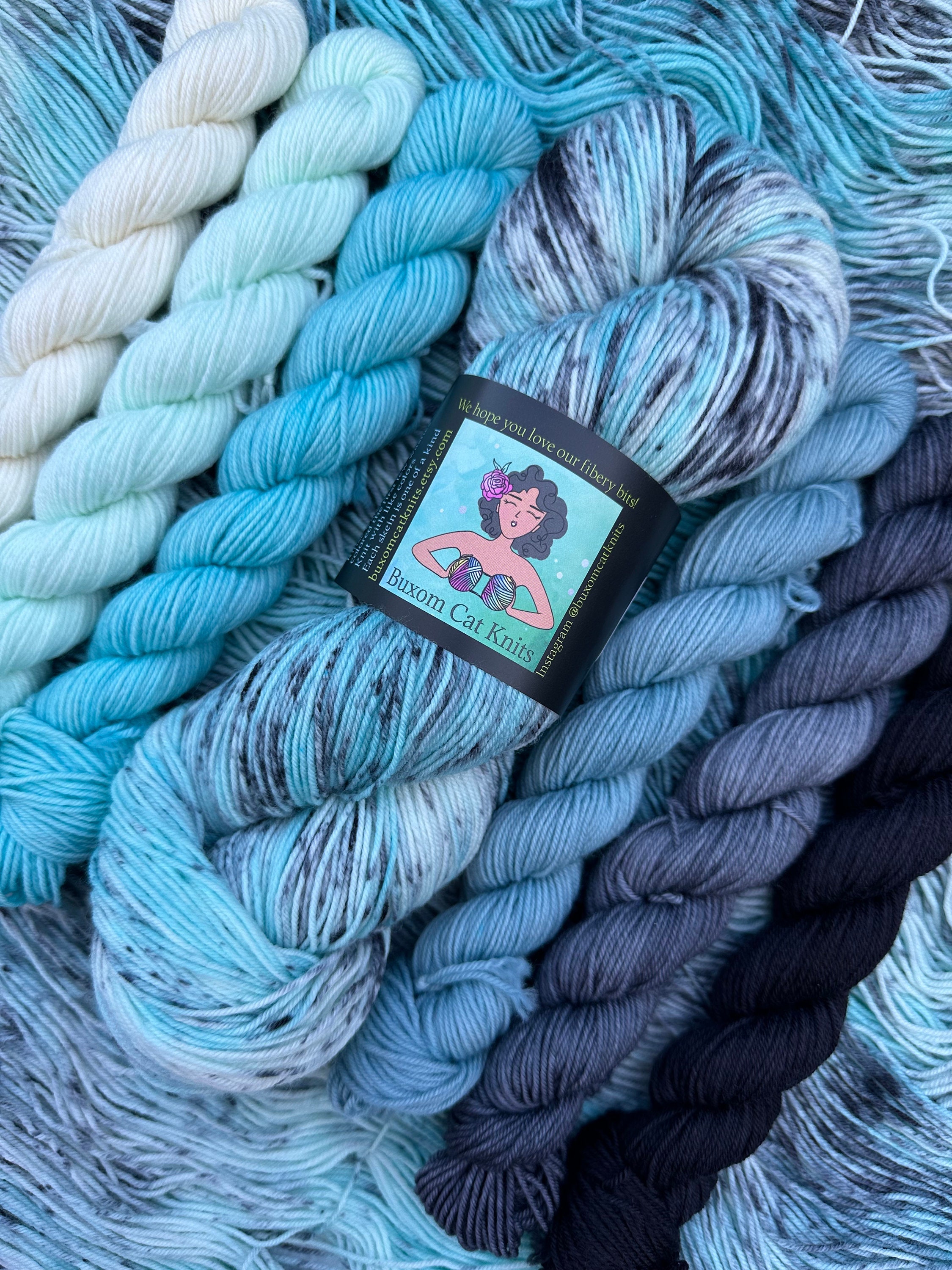 Beware of Hitchhiking Ghosts Sock and Mini Skeins Set Hand Dyed Yarn