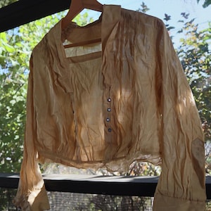 May include: A light tan blouse with long sleeves and a button-down front. The blouse is hanging on a wooden hanger. The fabric appears to be lightweight and slightly wrinkled. The background includes a window and greenery.