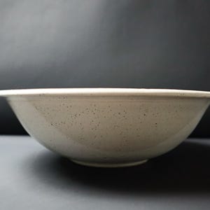 以下が含まれることがあります： 広い縁が付いた、斑点のあるオフホワイトのセラミックボウル。ボウルは丸みを帯びた形状で、わずかにテクスチャ加工された表面を持っています。内側と外側は同じ色で、小さな濃い色の斑点があります。ボウルはおそらく、盛り付けや混ぜ合わせに使用されます。