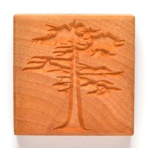 Ssl-052 Stor fyrkantig stämpel - Sequoiaträd