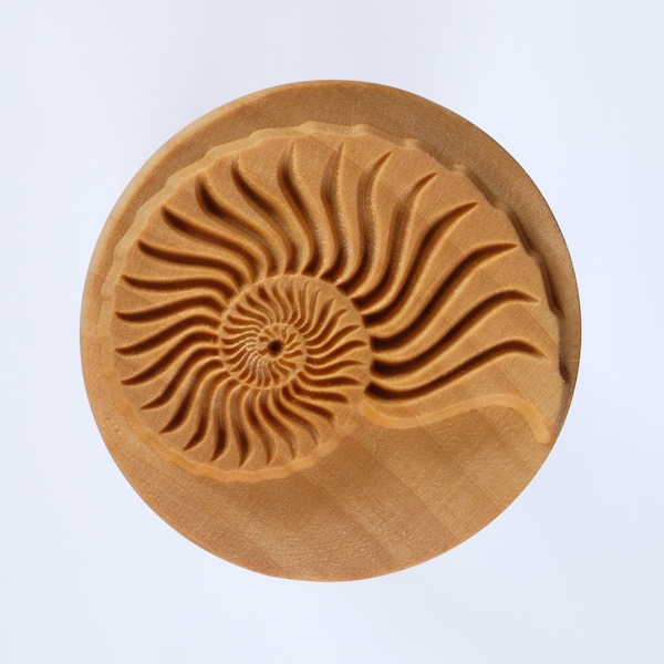 Scxl-004 Extra Large Round Stamp - Nautilus
