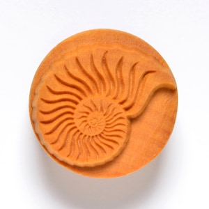 Scl-002 Large Round Wood Pottery Stamp - Nautilus