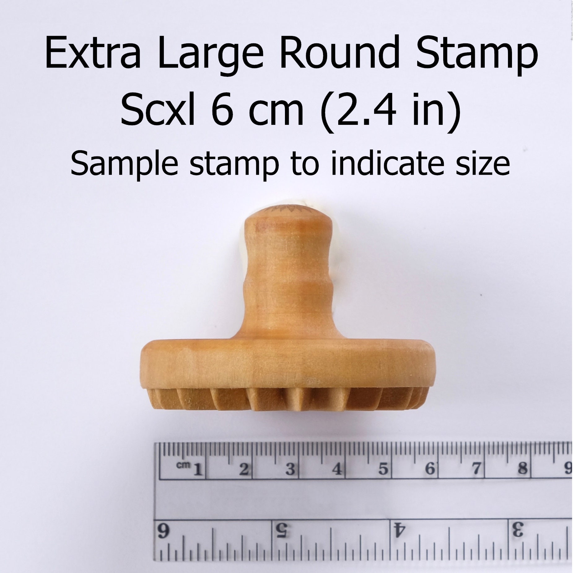 Scxl-004 Extra Large Round Stamp - Nautilus - Etsy