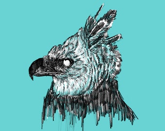 Harpy Eagle - 2 Colour Screenprint