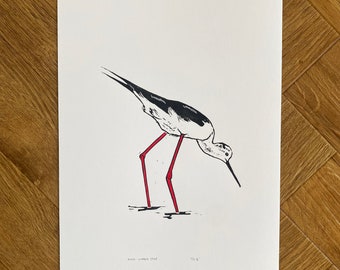Black-winged Stilt - Linoprint - Edition of 25