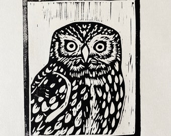 Little Owl - Linoprint