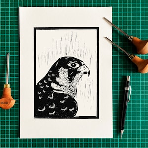 Peregrine Lino Print