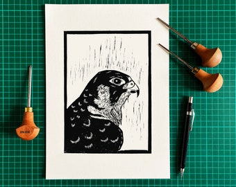 Peregrine Lino Print