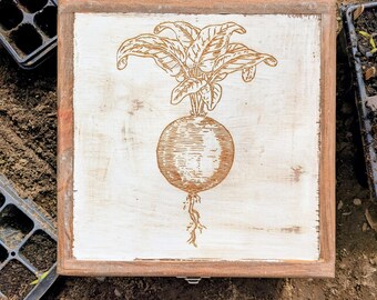 Boîte de rangement de paquets de graines de noyer récupérées avec gravure de betteraves, cadeau organisateur de jardin