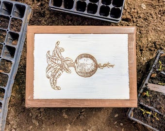 Boîte de rangement de graines en bois : organiseur de jardinage rustique avec gravure de betteraves