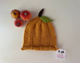 Baby Pumpkin Pie Hat