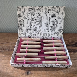 Op de afbeelding: Een set van twaalf messen in een decoratieve doos. De messen hebben lichtgekleurde handvatten met een marmer effect en zilveren bladen. De doos is gevoerd met roze stof en heeft een zwart-wit toile de Jouy patroon aan de buitenkant.