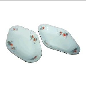 Vintage Serviergeschirr-Set, 2-teilig, niederländisches Porzellan, Teller und Schüsseln, floral-botanisches Muster