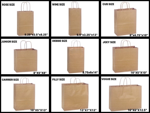 Natural Kraft Shopping Gift Bags 60# paper weight Choose Size & Package  Amount