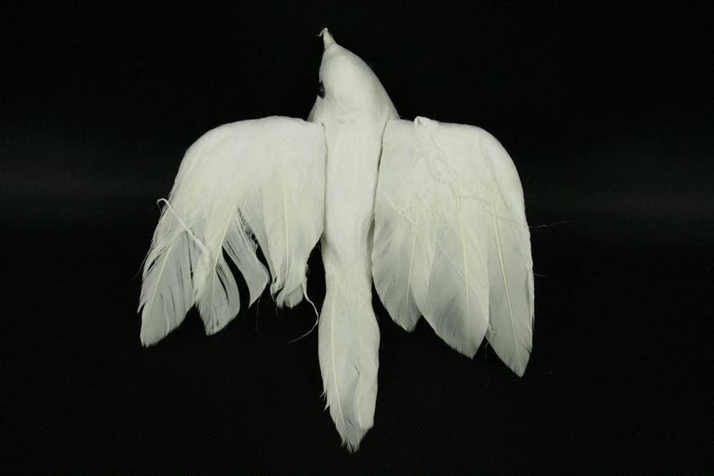 Artificial Doves 4 Inch Wingspan White Flocked Body and Natural Feather Wings and Tail Choose Package Count image 2