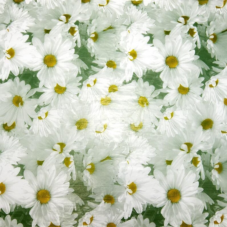 NATURE FLORAL Print Gift Grade Tissue Paper Sheets Etsy