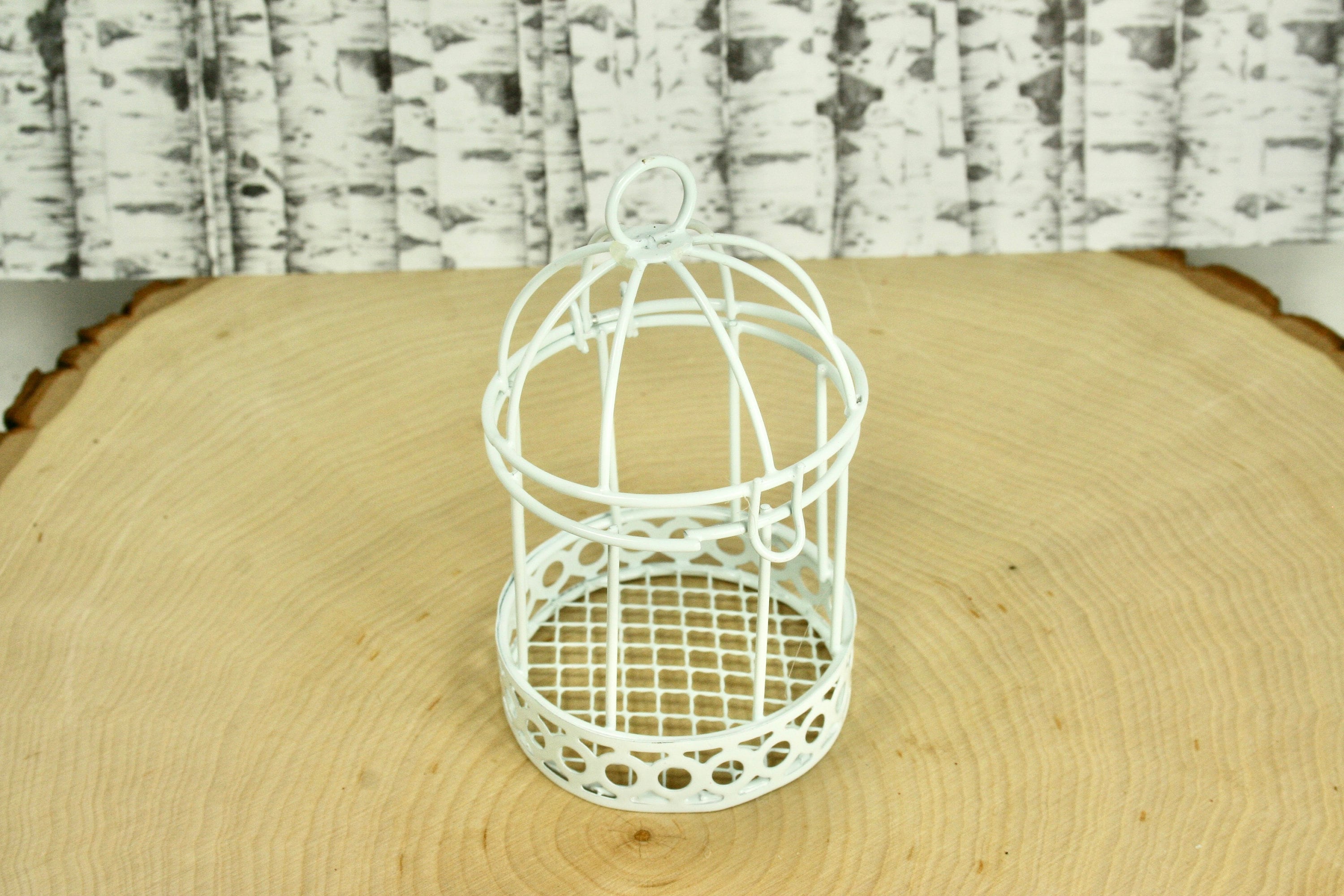 Party Favor w/ Satin Bow & Acrylic Gem White Wire 3-1/2" BIRD CAGE Cake Topper
