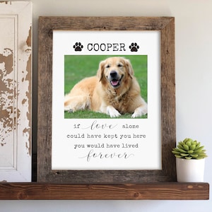 May include: A framed photo memorial for a dog named Cooper. The photo shows a golden retriever lying on the grass. The text reads "If love alone could have kept you here you would have lived forever."