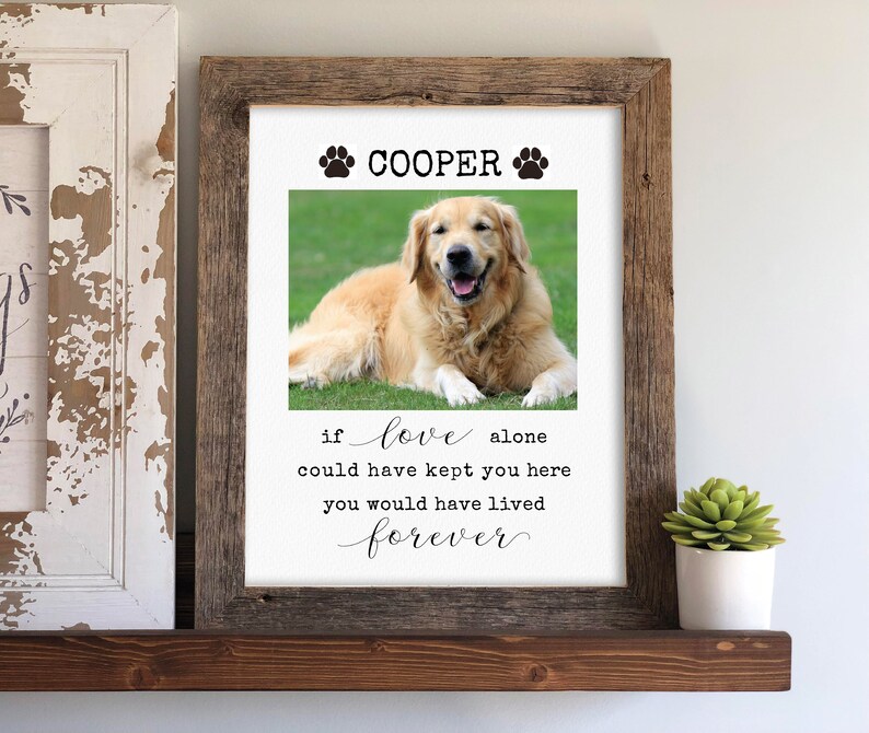 May include: A framed photo memorial for a dog named Cooper. The photo shows a golden retriever lying on the grass. The text reads "If love alone could have kept you here you would have lived forever."