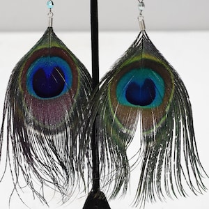Earrings Green Peacock Feather Earrings
