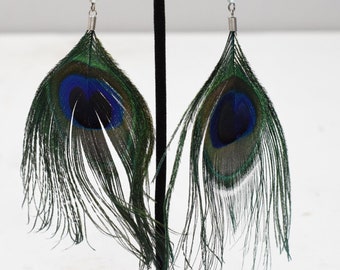 Earrings Teal Blue Peacock Feather Earrings