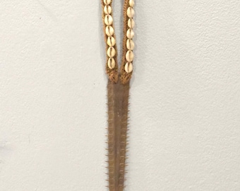 Papua New Guinea Karahut Abelam Nassa Shell Chest Ornament