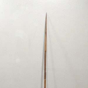 Papua New Guinea Arrow Black Palm Arrow