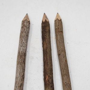 Pencils Thailand Tree Branch Graphite Pencils