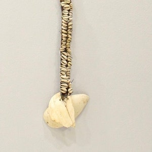 Papua New Guinea Shell Necklace Southern Highlands