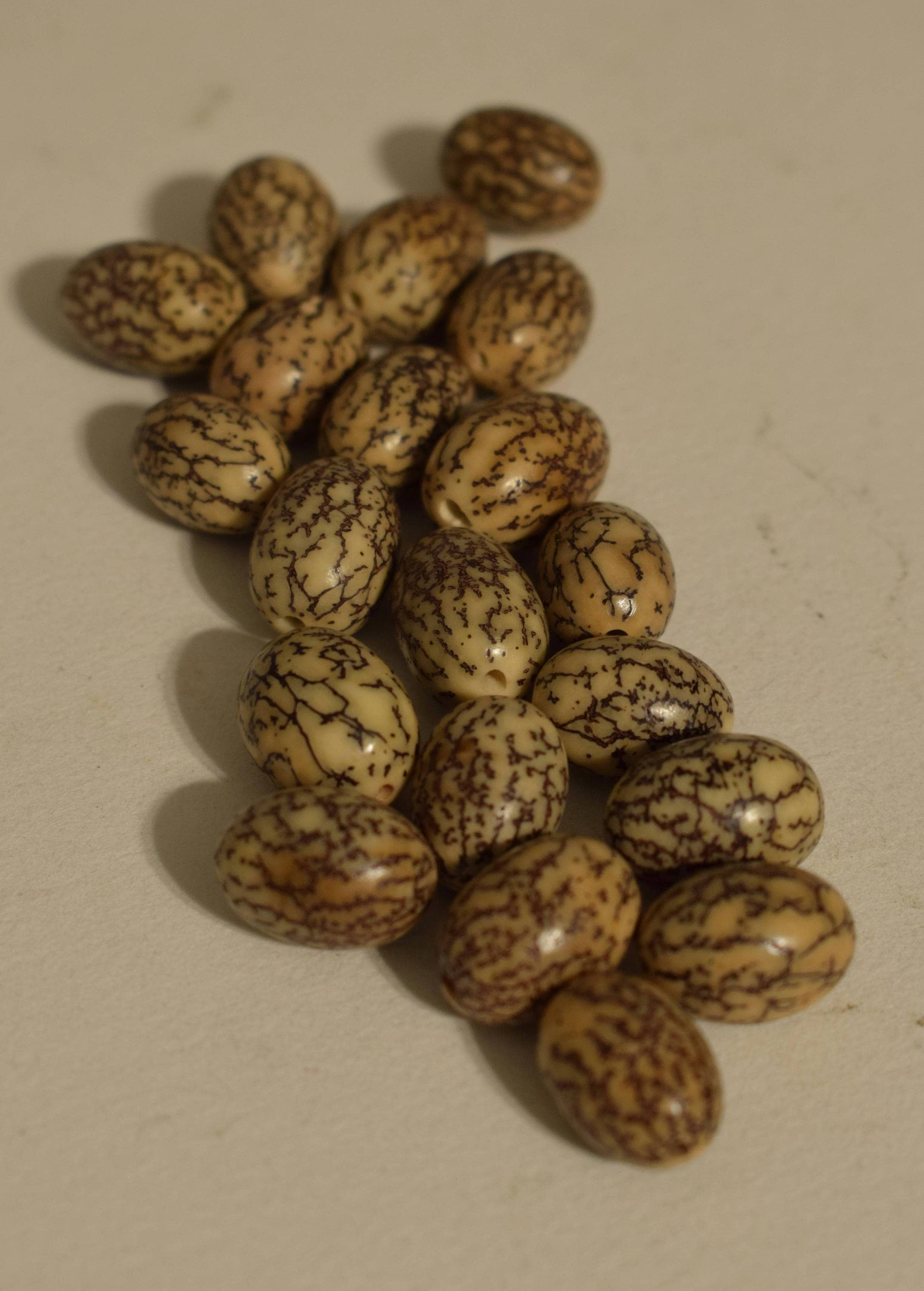 Beads Philippine 14mm Natural Oval Betel Nut Beads Necklace Jewelry