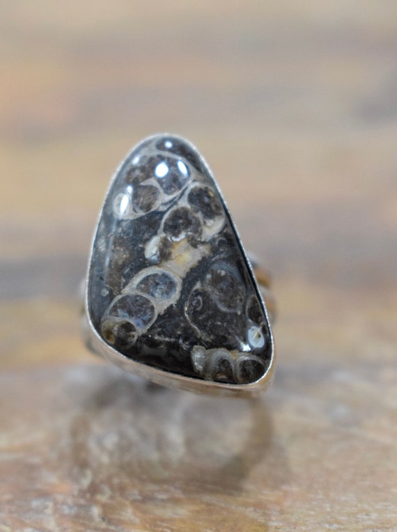Ring Sterling Silver Turritella Agate Irregular Sh