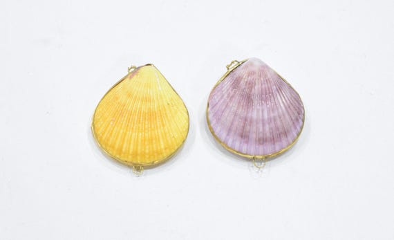 Purses Shell Assorted Colored Shell Pill Box Trin… - image 5