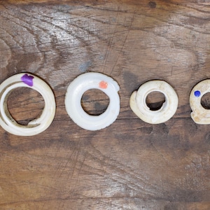 Beads Conus Shells Papua New Guinea Money Shells