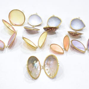 May include: A collection of hinged seashell containers with gold-toned metal rims. Each piece consists of two joined shells, featuring various iridescent, pearlescent, and patterned interiors in shades of pink, purple, yellow, and brown.