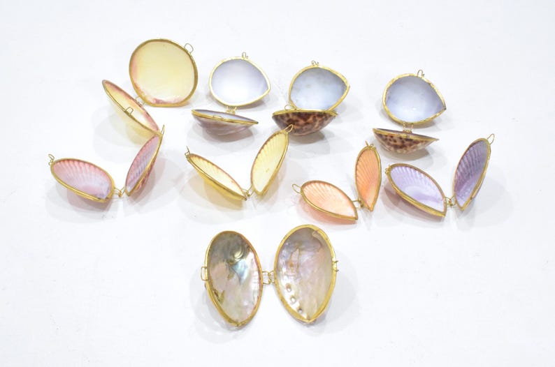 May include: A collection of hinged seashell containers with gold-toned metal rims. Each piece consists of two joined shells, featuring various iridescent, pearlescent, and patterned interiors in shades of pink, purple, yellow, and brown.