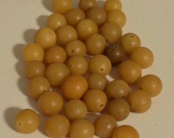 Philippine Beige Buri Nut Beads