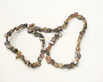 Philippine Abalone Shell Square Beads