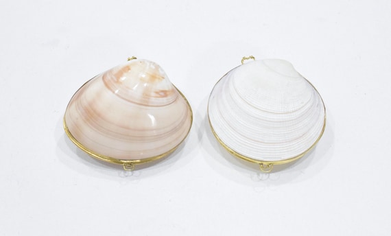 Purses Shell Assorted Colored Shell Pill Box Trin… - image 4