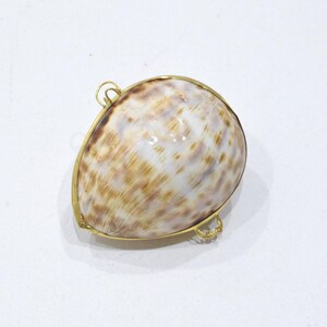 May include: A polished, teardrop-shaped seashell with brown and tan mottled patterns, encased in a thin gold-toned metal frame. The frame features two small, circular gold-toned metal loops attached to the edges, providing points for potential attachment.