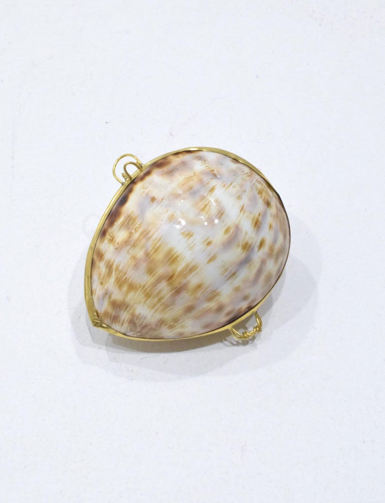 May include: A polished, teardrop-shaped seashell with brown and tan mottled patterns, encased in a thin gold-toned metal frame. The frame features two small, circular gold-toned metal loops attached to the edges, providing points for potential attachment.