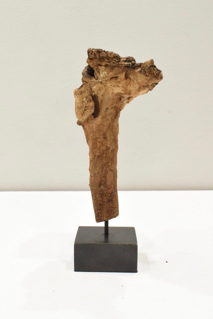 Teak Wood Hand Carved Root Statue Thailand