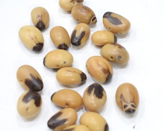 Beads Philippines Natural Oval Buri Nut  20mm