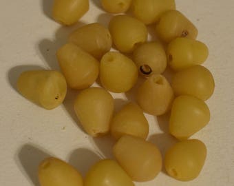 Philippine Yellow Buri Nut Teardrop Beads