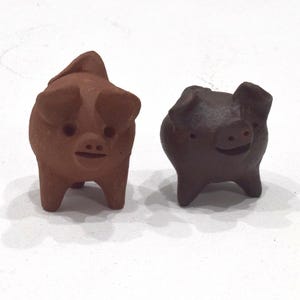 Cerdo chileno de tres patas, buena suerte