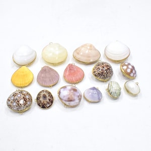 Purses Shell Assorted Colored Shell Pill Box Trinket Coin Purse
